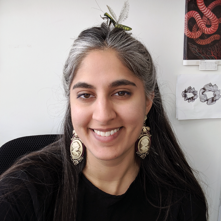 Picture of female with grey and black hair and big white earrings