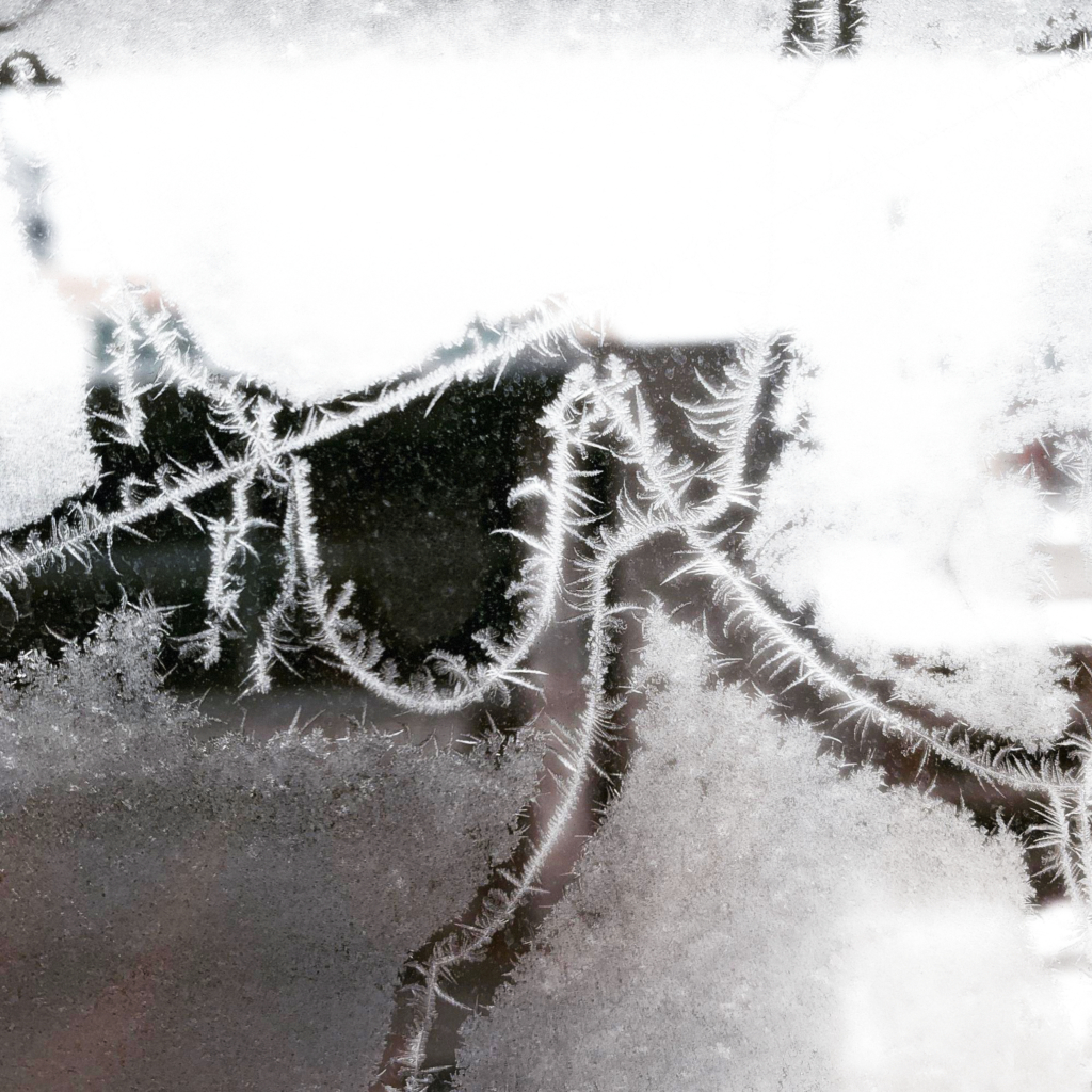 Picture of a cold frozen window, abstract perspective