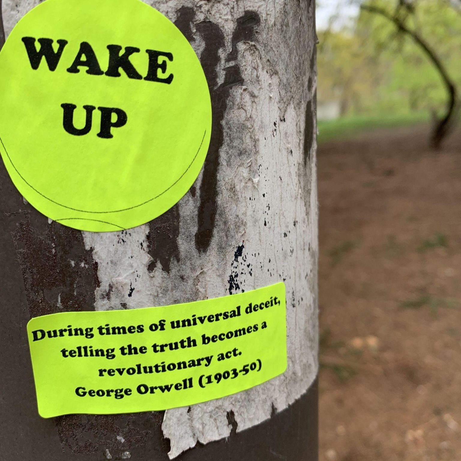 picture of two green stickers on a tree saying 'wake up' and 'during times of universal deceit, telling the truth becomes a revolutionary act - George Orwell (1903-50)'