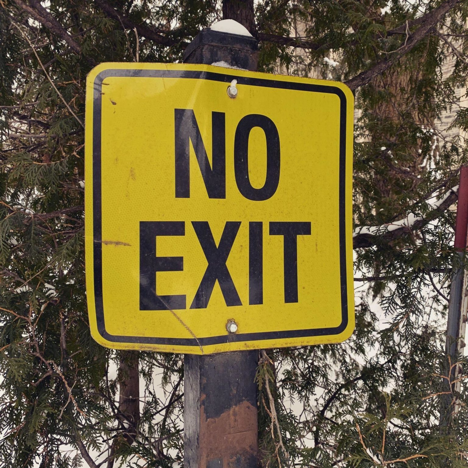 street sign saying 'no exit'