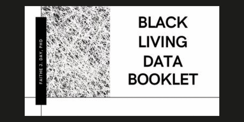 Gif of Black Living Data Booklet slideshow presentation, with text that reads 'Black Living Data Booklet'