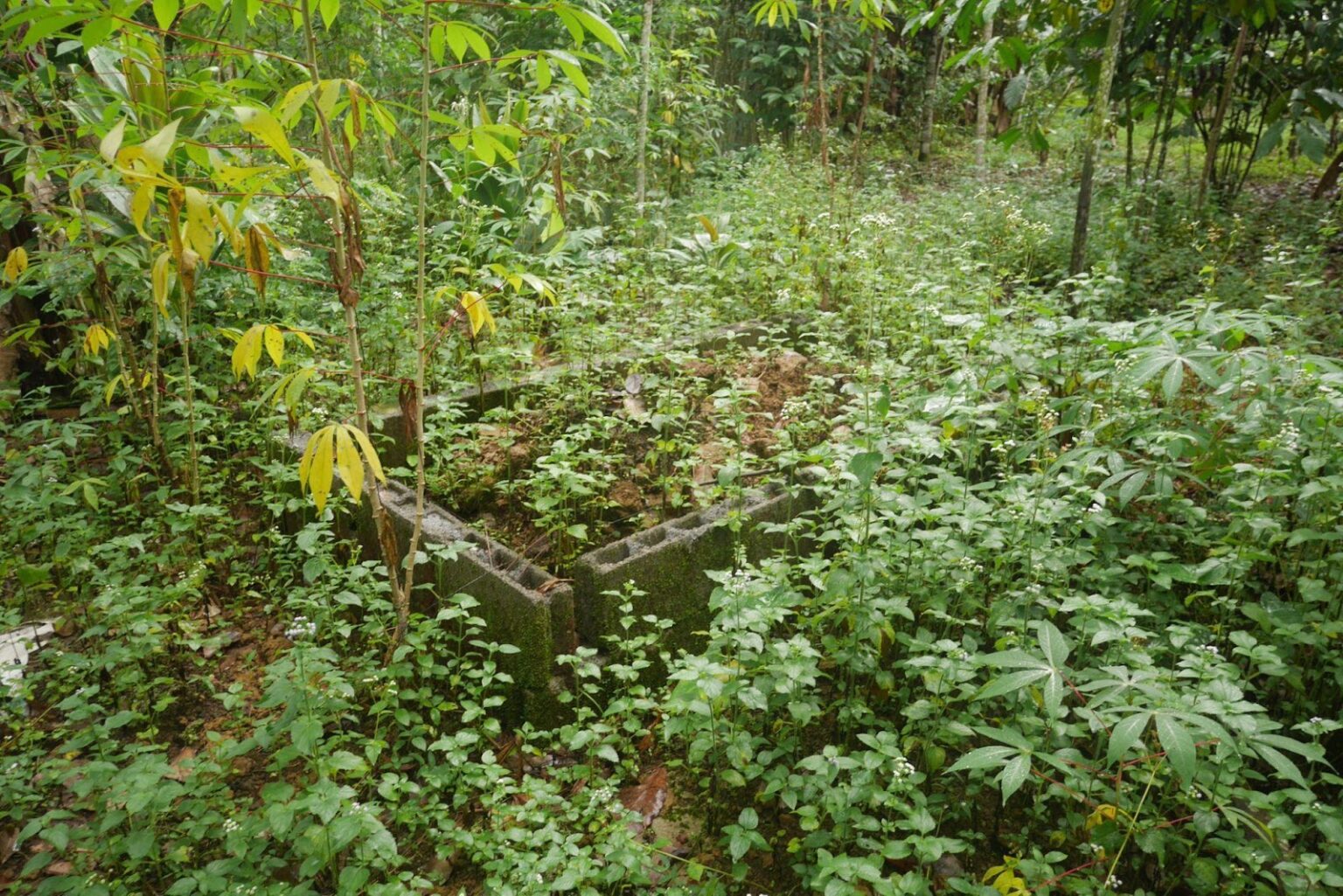 makeshift grave in a woodland area